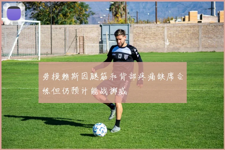 劳模赖斯因腿筋和背部疼痛缺席合练但仍预计能战挪威