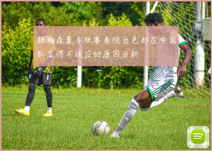 杨瀚森夏季联赛表现出色却在中国队显得不适应的原因分析